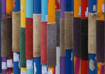 智能赛事计时与跟踪系统